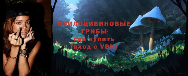 прущие крисы Бородино