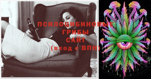 ешки Верхний Тагил