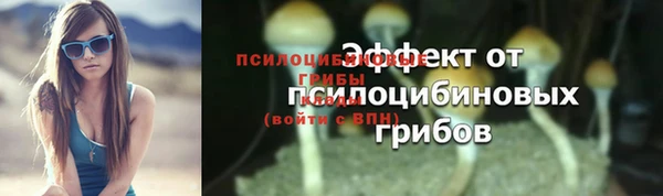 ешки Верхний Тагил