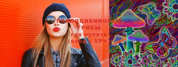 дмт Верея